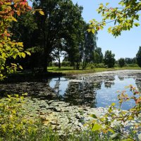 Зеркальный пруд в Тригорском :: Олег Зоркий