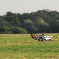 На Боголюбовском лугу :: Александр Ильчевский 