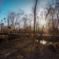 ***** :: юрий поляков