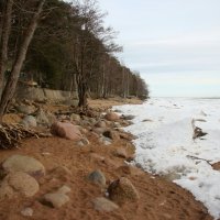 Зеленогорск :: Наталья Герасимова Зеленогорск :: Наталья Герасимова