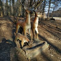 Обитатели Измайловского парка :: Андрей Лукьянов