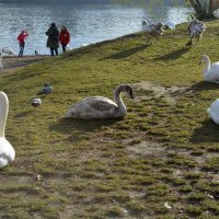 L :: Андрей Л. В. L :: Андрей Л. В.