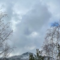 Весна пришла :: Георгиевич 