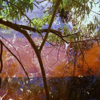 Название отсутствует :: Денис Безногов