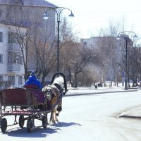 Гужевой транспорт :: Сергей Швечков Гужевой транспорт :: Сергей Швечков