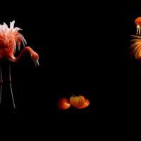 Любопытство :: Е.М. ***