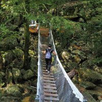 По Агурскому ущелью. :: Евгений Седов