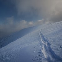 * :: Александр Иванов