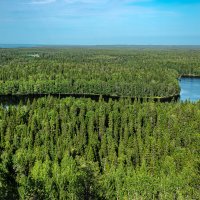 Соловецкие просторы :: Александр Силинский