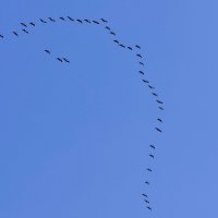 Природа 26 марта 1 :: Александр Прокудин Природа 26 марта 1 :: Александр Прокудин