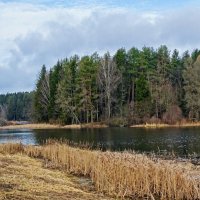 Природа в конце марта. :: Милешкин Владимир Алексеевич 