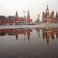 26 марта :: Михаил Бибичков