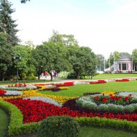 природа :: марта Камушкина