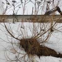 Название отсутствует :: Денис Безногов