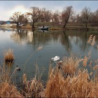 Жизнь на реке :: Фёдор Меркурьев