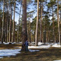 Парк Металлургов в Гурьевске :: Татьяна Лютаева