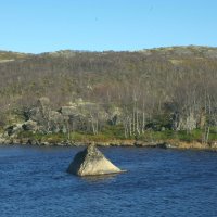 На озере :: Сергей Швечков