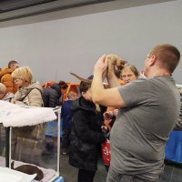 ГАГАРИНСКИЕ_КОШКИ_5 :: Сергей Янович Микк