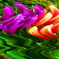 Тюльпаны-тюльпаны... :: Елена Куприянова 