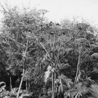 Название отсутствует :: Денис Безногов