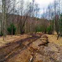 Мартовские дороги :: Сергей Цветков