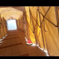 110 (106) :: СТРЕН 