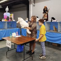 ГАГАРИНСКИЕ_КОШКИ_8 :: Сергей Янович Микк ГАГАРИНСКИЕ_КОШКИ_8 :: Сергей Янович Микк