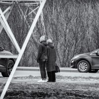 Перейти дорогу :: Александр Синдерёв