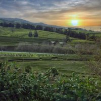 Magic Azores 26 :: Arturs Ancans