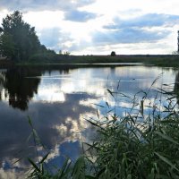 природа :: марта Камушкина природа :: марта Камушкина