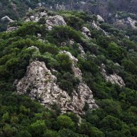 Турция :: Елена Шаламова