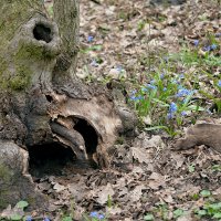 Страшно - красиво :: Сеня Белгородский Страшно - красиво :: Сеня Белгородский
