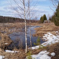 Весенние воды :: Сергей Ц
