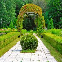 Чебоксары. Ботанический сад летом. :: Пётр Чернега Чебоксары. Ботанический сад летом. :: Пётр Чернега