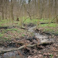 После таяния снега :: Сеня Белгородский После таяния снега :: Сеня Белгородский