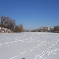 февраль :: Елена Шаламова