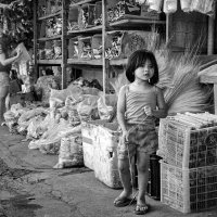 Утром брату помогала, он с утра конфеты ел... :: Владимир Нефедов