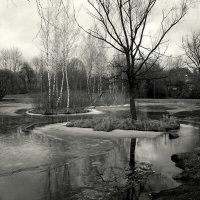 Пришла весна :: Aleksandr Gal