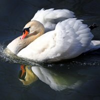 31 марта :: Михаил Бибичков 31 марта :: Михаил Бибичков