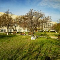 Весна :: Анатолий Чикчирный