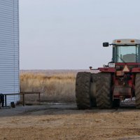 У машинно тракторной мастерской.(МТМ) :: сергей ермошкин