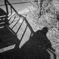 весеннее настроение :: Владимир Носов