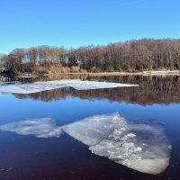 Приятная картина в конце марта. :: Лия ☼