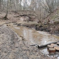 Река Городня :: Игорь Ч. Река Городня :: Игорь Ч.