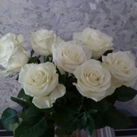 Белые розы для души :: Надежда Белые розы для души :: Надежда