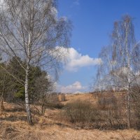 Конец марта... :: Владимир Жданов Конец марта... :: Владимир Жданов