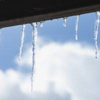 *** :: Николай Чекалин