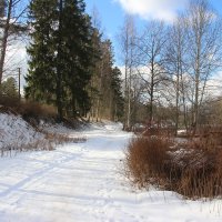 Вырица :: Наталья Герасимова Вырица :: Наталья Герасимова