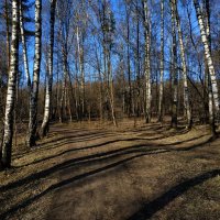 Тема с вариацией :: Андрей Лукьянов Тема с вариацией :: Андрей Лукьянов