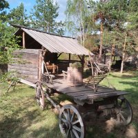 На территории археологического музея-заповедника :: Любовь Сахарова